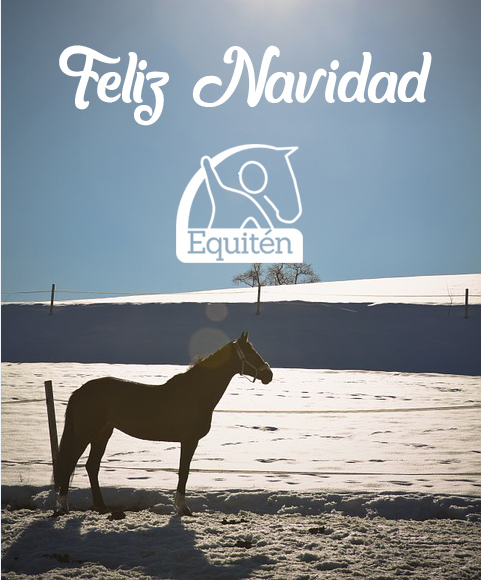 En positivo hacia el 2019