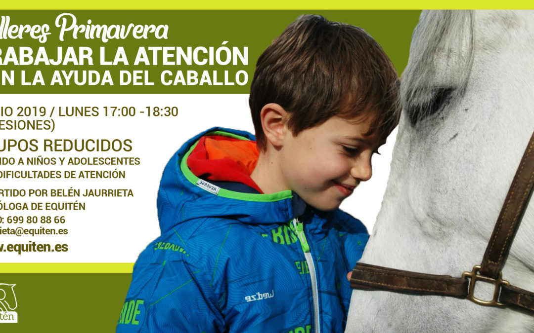 Taller para mejorar la atención con la ayuda del caballo