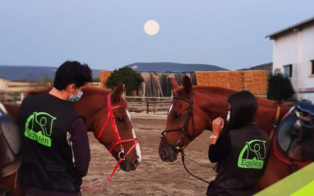 4º aniversario de Equitén (equinoterapia Navarra)