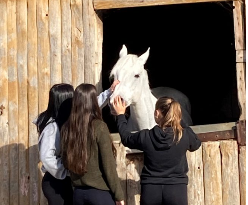 Formación en terapia con caballos para la Escuela de Educadores/as en Equitén
