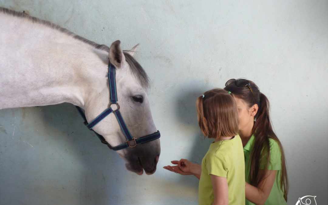 Celebramos 6 años de colaboración entre Adano (Asociación de niños con cáncer) y Equitén (Equinoterapia Navarra)