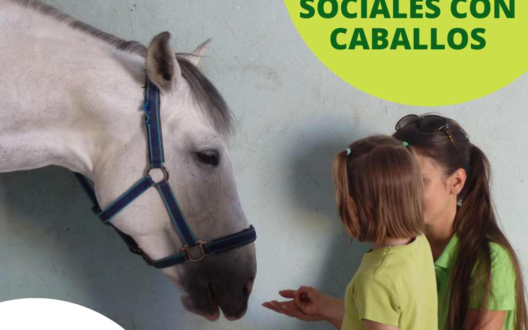 TALLER DE HABILIDADES SOCIALES PARA NIÑOS Y NIÑAS ASISTIDO CON CABALLOS EN NAVARRA (EQUITÉN)